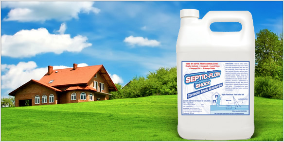 septic-flow-shock-clean-house-gallon.jpg